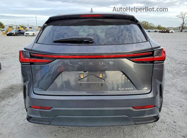 2T2GDCAZ6RC007308 2024 LEXUS NX Серый Вид сзади