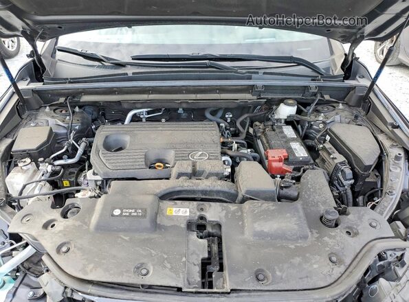 2T2GDCAZ6RC007308 2024 LEXUS NX Серый Вид подкапотного пространства