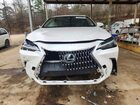 2022 Lexus Nx 250 White vin: 2T2GDCAZXNC001442