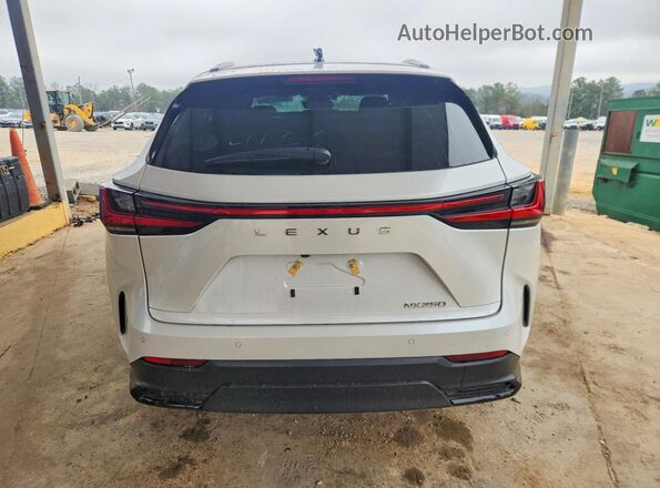 2T2GDCAZXNC001442 2022 LEXUS NX White უკანა ხედი