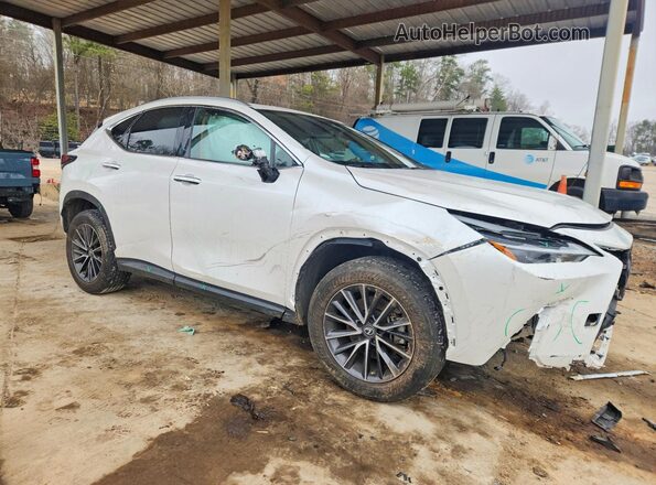 2T2GDCAZXNC001442 2022 LEXUS NX White წინა მარჯვენა
