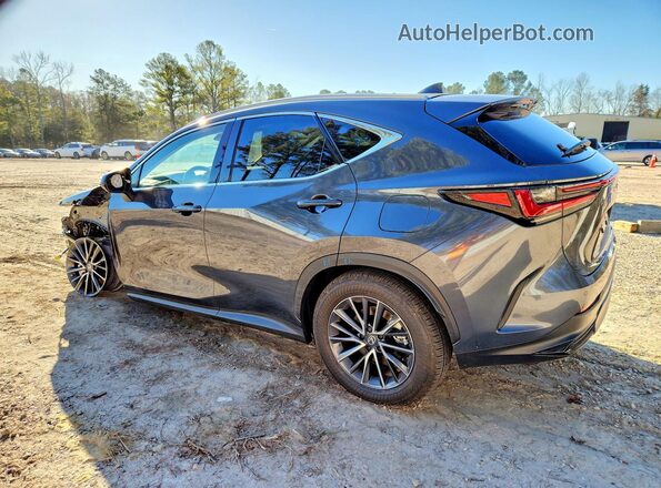 2T2GGCEZ1TC094821 2026 LEXUS NX Gray Задня ліва чверть