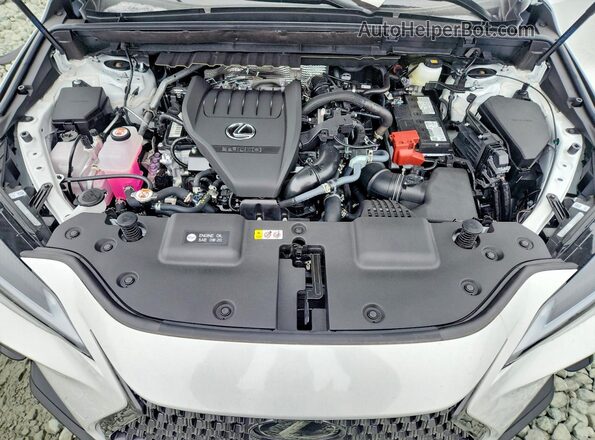 2T2GGCEZ1TC102111 2026 LEXUS NX White ძრავის განყოფილების ხედი