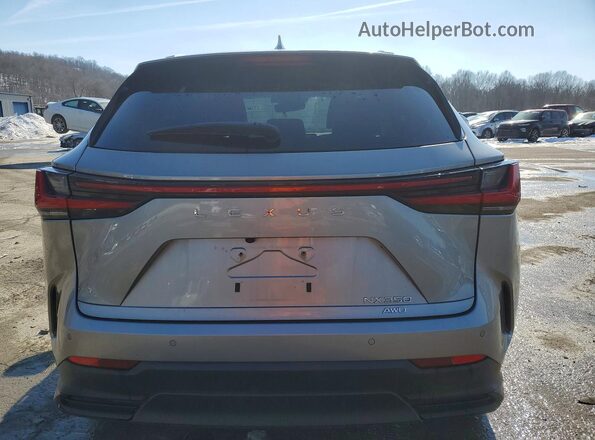 2T2GGCEZ2PC018692 2023 LEXUS NX Серебряный Вид сзади
