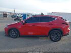 2025 Lexus Nx 350 Premium Red vin: 2T2GGCEZ2SC061759