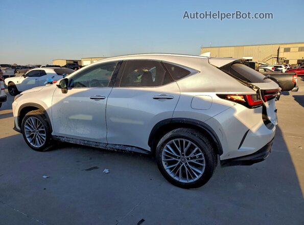 2T2GGCEZ2SC085625 2025 LEXUS NX White Rear left