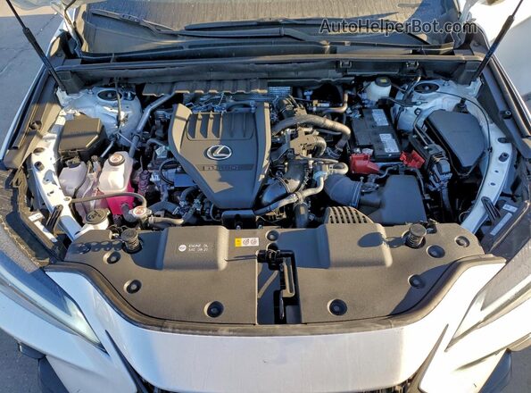 2T2GGCEZ2SC085625 2025 LEXUS NX White Engine compartment view