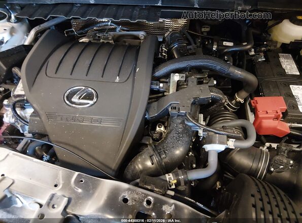 2T2GGCEZ2TC109519 2026 LEXUS NX 350 Белый Вид сзади