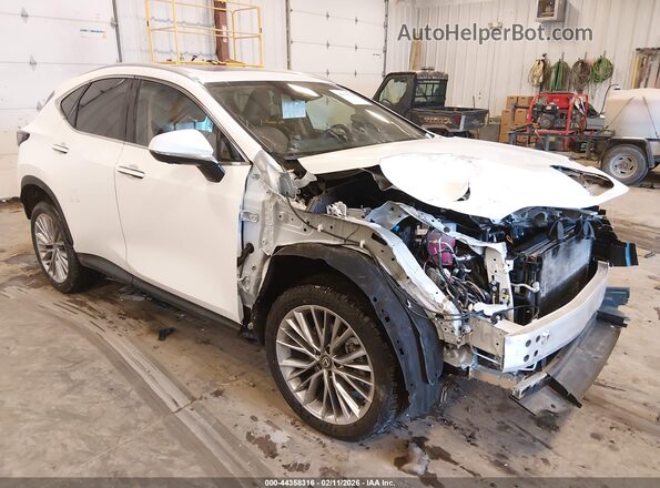 2T2GGCEZ2TC109519 2026 LEXUS NX 350 Белый Передняя правая четверть