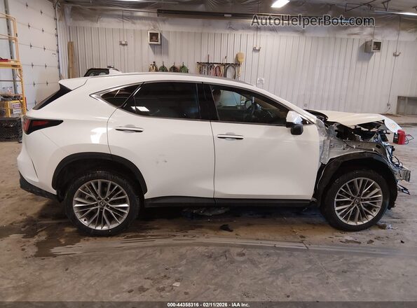 2T2GGCEZ2TC109519 2026 LEXUS NX 350 Белый Вид задней части салона
