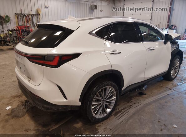 2T2GGCEZ2TC109519 2026 LEXUS NX 350 Белый Задняя правая четверть
