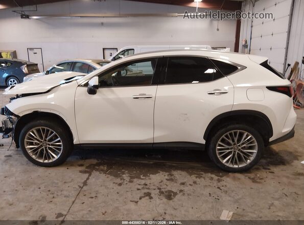2T2GGCEZ2TC109519 2026 LEXUS NX 350 Белый Панорамный вид салона 360°