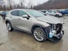 2025 Lexus Nx 350 Premium Tan vin: 2T2GGCEZ4SC083889