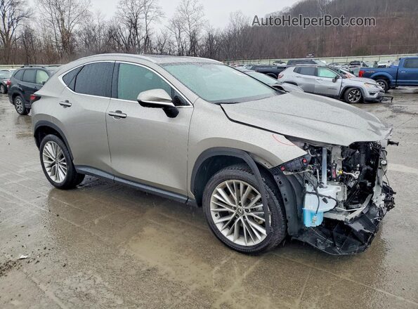2T2GGCEZ4SC083889 2025 LEXUS NX Tan Передня права чверть