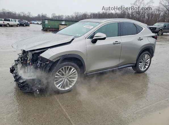 2T2GGCEZ4SC083889 2025 LEXUS NX Tan Передня ліва чверть