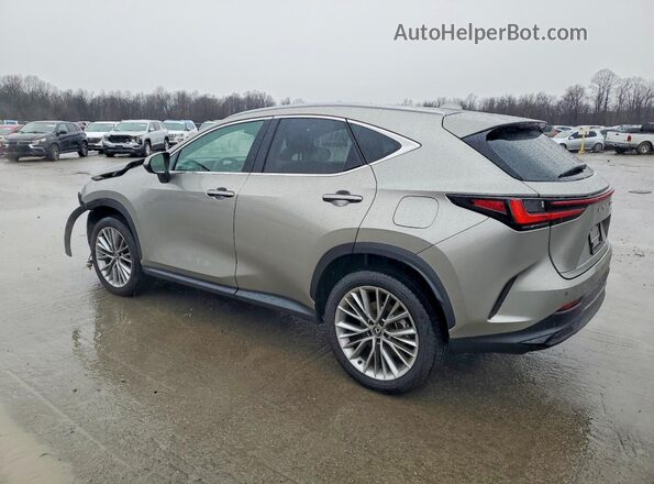 2T2GGCEZ4SC083889 2025 LEXUS NX Tan Задня ліва чверть