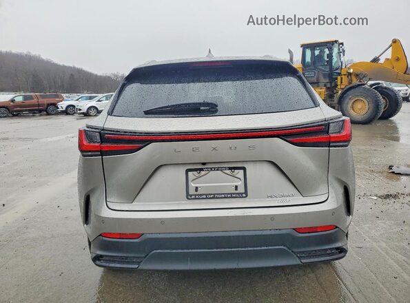 2T2GGCEZ4SC083889 2025 LEXUS NX Tan Вид ззаду