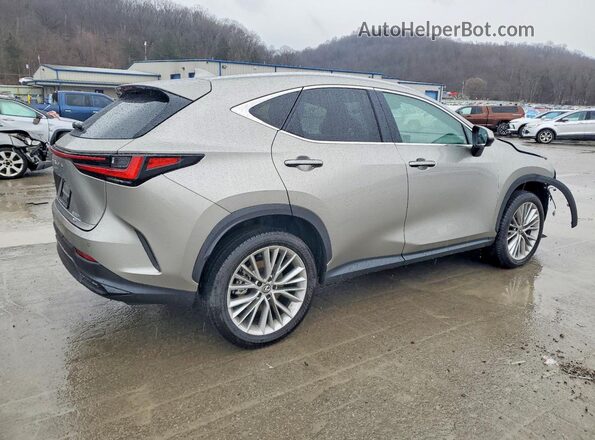 2T2GGCEZ4SC083889 2025 LEXUS NX Tan Задня права чверть