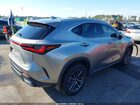 2023 Lexus Nx 350 Premium Gray vin: 2T2GGCEZ5PC029430