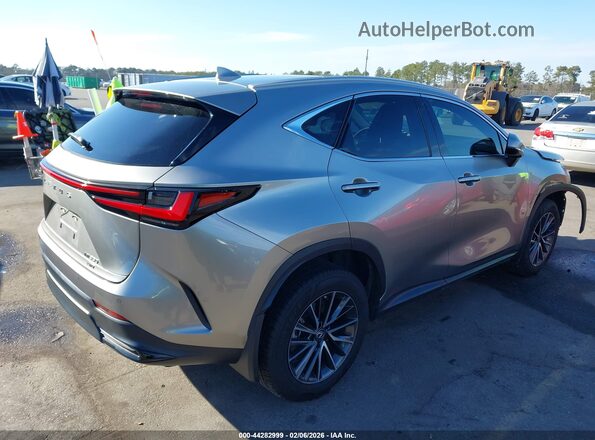 2T2GGCEZ5PC029430 2023 LEXUS NX 350 Gray Задня права чверть