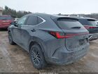 2023 Lexus Nx 350 Premium Gray vin: 2T2GGCEZ6PC027086