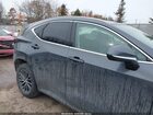 2023 Lexus Nx 350 Premium Gray vin: 2T2GGCEZ6PC027086