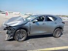 2024 Lexus Nx 350 Premium Gray vin: 2T2GGCEZ7RC053375