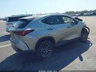 2024 Lexus Nx 350 Premium Gray vin: 2T2GGCEZ7RC053375