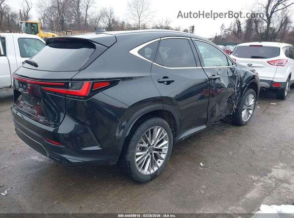 2T2GGCEZ7SC075592 2025 LEXUS NX 350 Black უკანა მარჯვენა
