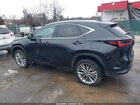 2025 Lexus Nx 350 Premium Black vin: 2T2GGCEZ7SC075592