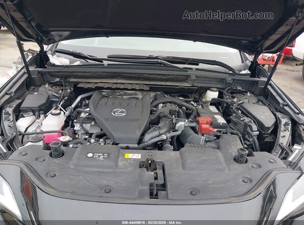 2T2GGCEZ7SC075592 2025 LEXUS NX 350 Black უკანა ხედი