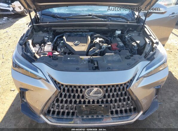 2T2GGCEZ8NC015499 2022 LEXUS NX 350 Серый Вид сзади