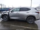 2025 Lexus Nx 350 Premium Gray vin: 2T2GGCEZ8SC087394