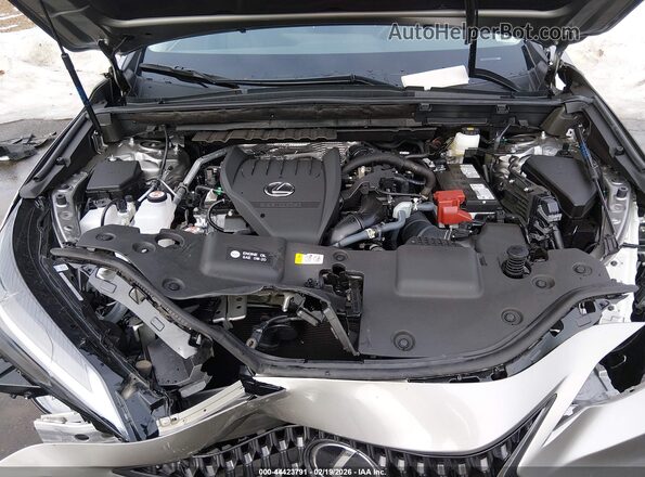 2T2GGCEZ8SC087394 2025 LEXUS NX 350 Gray Widok z tyłu