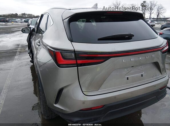 2T2GGCEZ8SC087394 2025 LEXUS NX 350 Gray Tył lewy