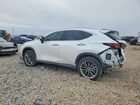 2022 Lexus Nx 350 White vin: 2T2GGCEZXNC003631
