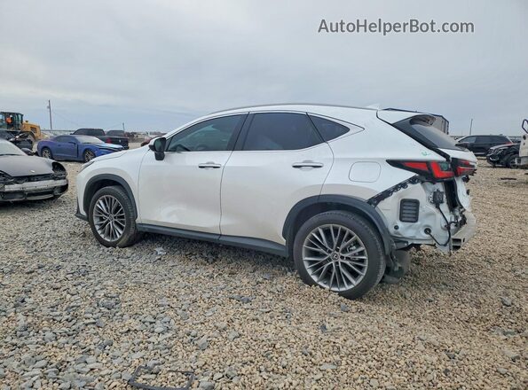 2T2GGCEZXNC003631 2022 LEXUS NX White Trasero izquierdo