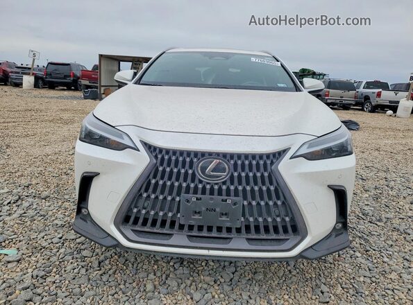 2T2GGCEZXNC003631 2022 LEXUS NX White Vista frontal