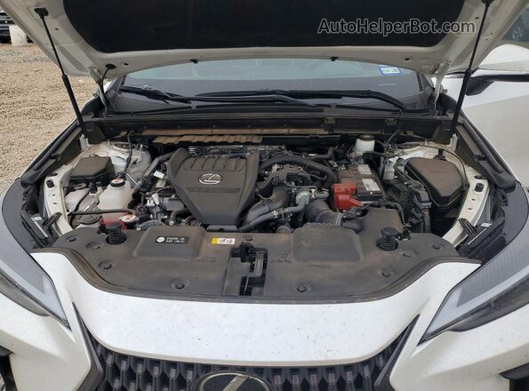 2T2GGCEZXNC003631 2022 LEXUS NX White Vista del compartimento del motor