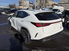 2026 Lexus Nx 350h Premium White vin: 2T2GKCEZ2TC057694