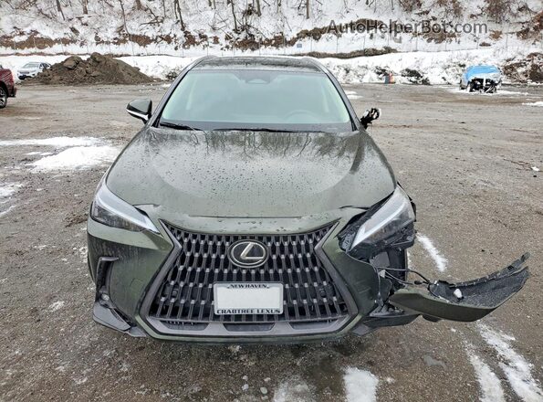 2T2GKCEZ2TC066198 2026 LEXUS NX Green Widok z przodu