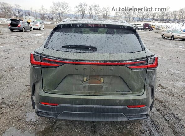 2T2GKCEZ2TC066198 2026 LEXUS NX Green Widok z tyłu
