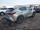 2024 Lexus Nx 350h Premium Бежевый vin: 2T2GKCEZ3RC024051