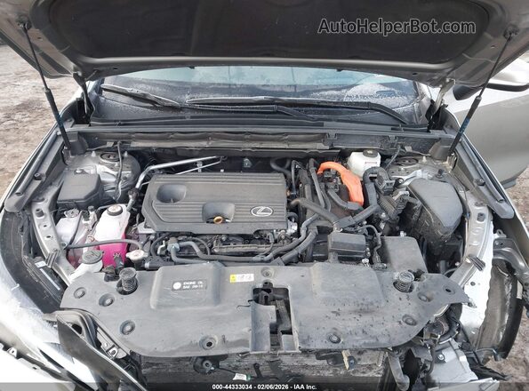 2T2GKCEZ3RC024051 2024 LEXUS NX 350H Бежевый Вид сзади