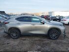 2024 Lexus Nx 350h Premium Бежевый vin: 2T2GKCEZ3RC024051