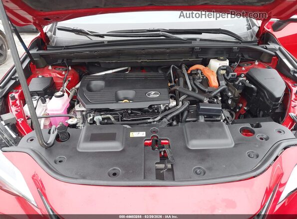 2T2GKCEZ4SC042046 2025 LEXUS NX 350H Красный Вид сзади