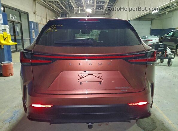 2T2GKCEZ6SC038869 2025 LEXUS NX Brown Vista trasera