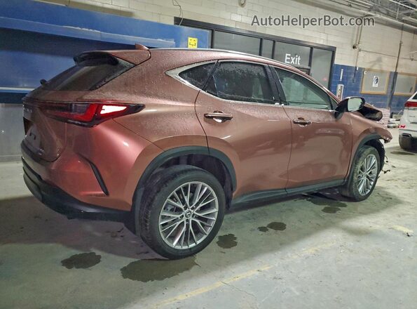 2T2GKCEZ6SC038869 2025 LEXUS NX Brown Trasero derecho