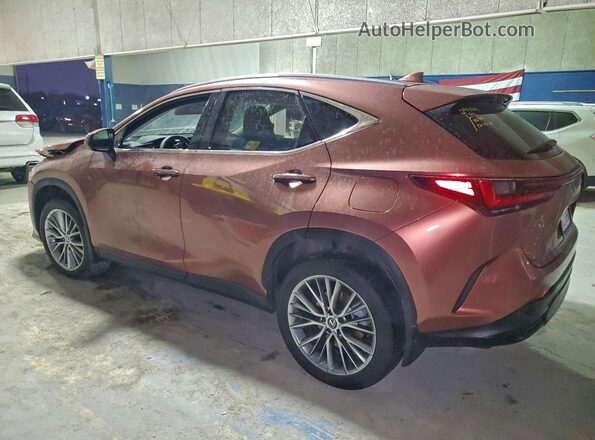 2T2GKCEZ6SC038869 2025 LEXUS NX Brown Trasero izquierdo