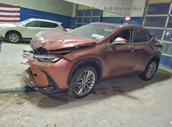 2T2GKCEZ6SC038869 2025 LEXUS NX Brown Vista tres cuartos delantera izquierda